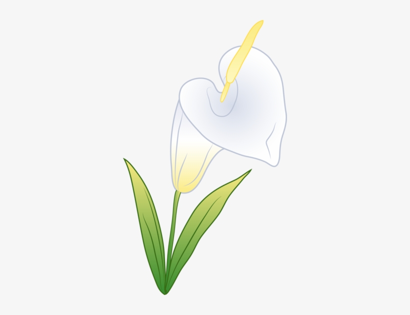 Svg Transparent Library Calla Border Free On Dumielauxepices, transparent png download
