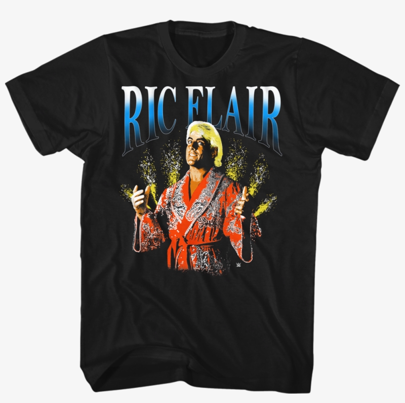 Ric Flair Shirts Officially Licensed Free Shipping - 7 Years Of College Down The Drain, transparent png download