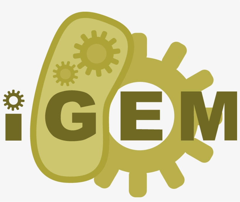 Expand On Your Silver Medal Gold Shield Png - International Genetically Engineered Machine, transparent png download