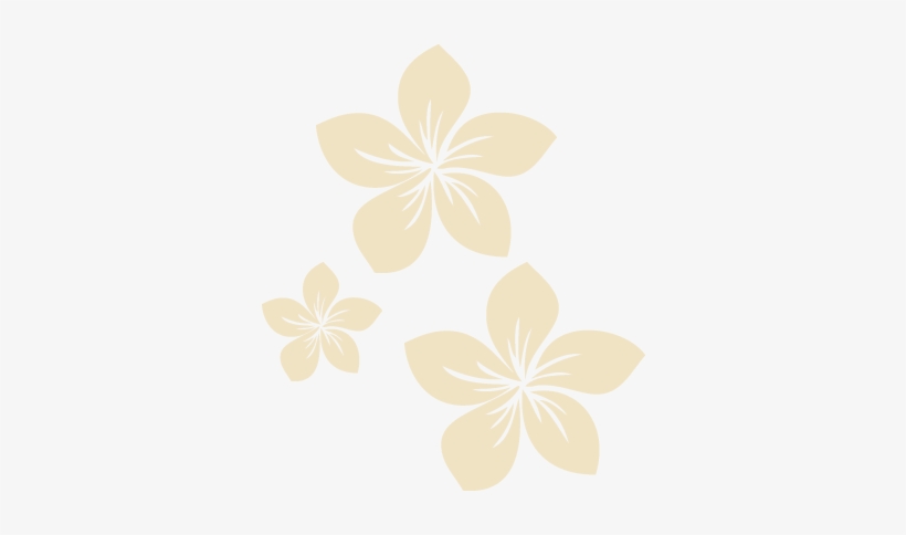Private Patio And Gardens - Plumeria Transparent, transparent png download