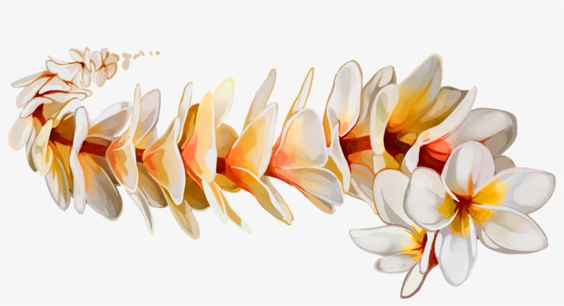 Plumeria // Rebirth, New Beginnings, Springtime - Art, transparent png download
