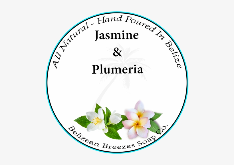 Amazing Health Care Products, Llc. Facial Exfoliator, transparent png download