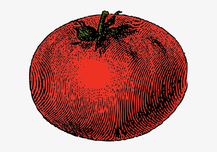 Tomato Png Images 600 X, transparent png download