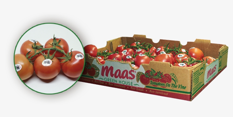Tomatoes On The Vine - Plum Tomato, transparent png download