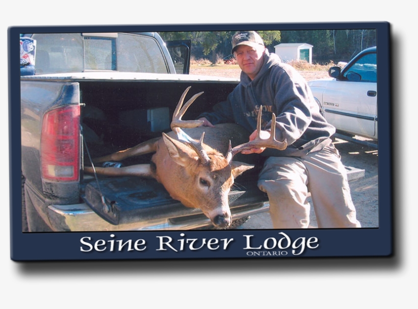 There Have Been Some Older Monsters Taken & Lots Of - Elk, transparent png download