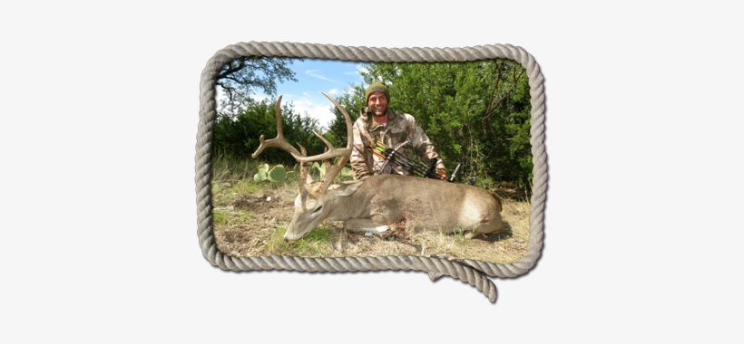 Trophy Whitetail Deer Hunting - Deer Hunting, transparent png download