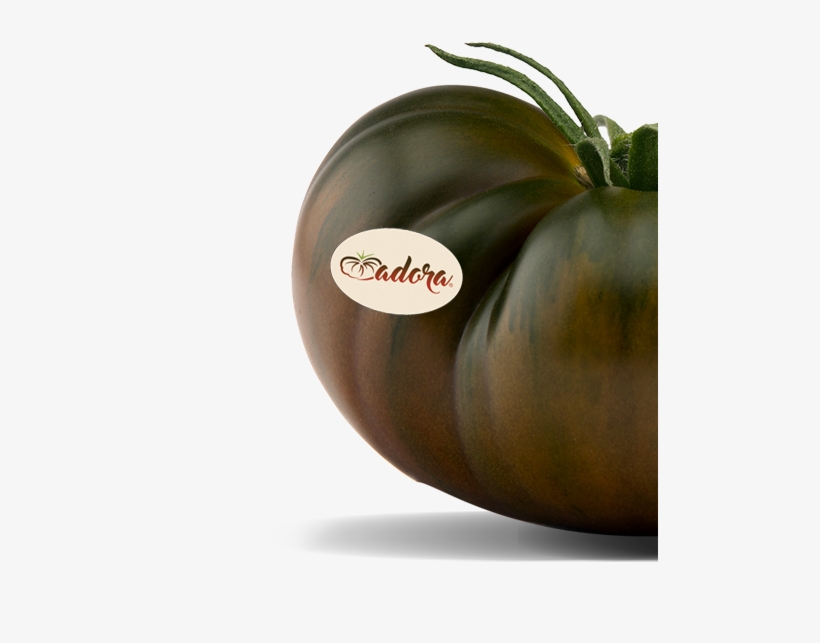 Tomato Adora - Tomato, transparent png download