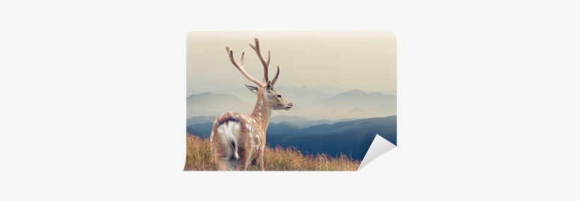 Scandinavian Love, Canvas Art, transparent png download