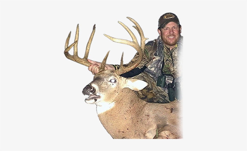 Kansas Big Buck Outfitters - Elk, transparent png download
