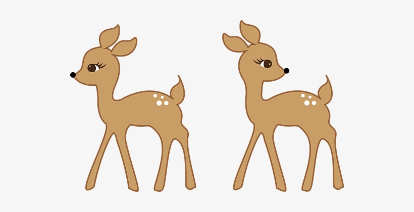 Deer Application Bambi Wild Animals Forest - Animales De Bosque Png, transparent png download