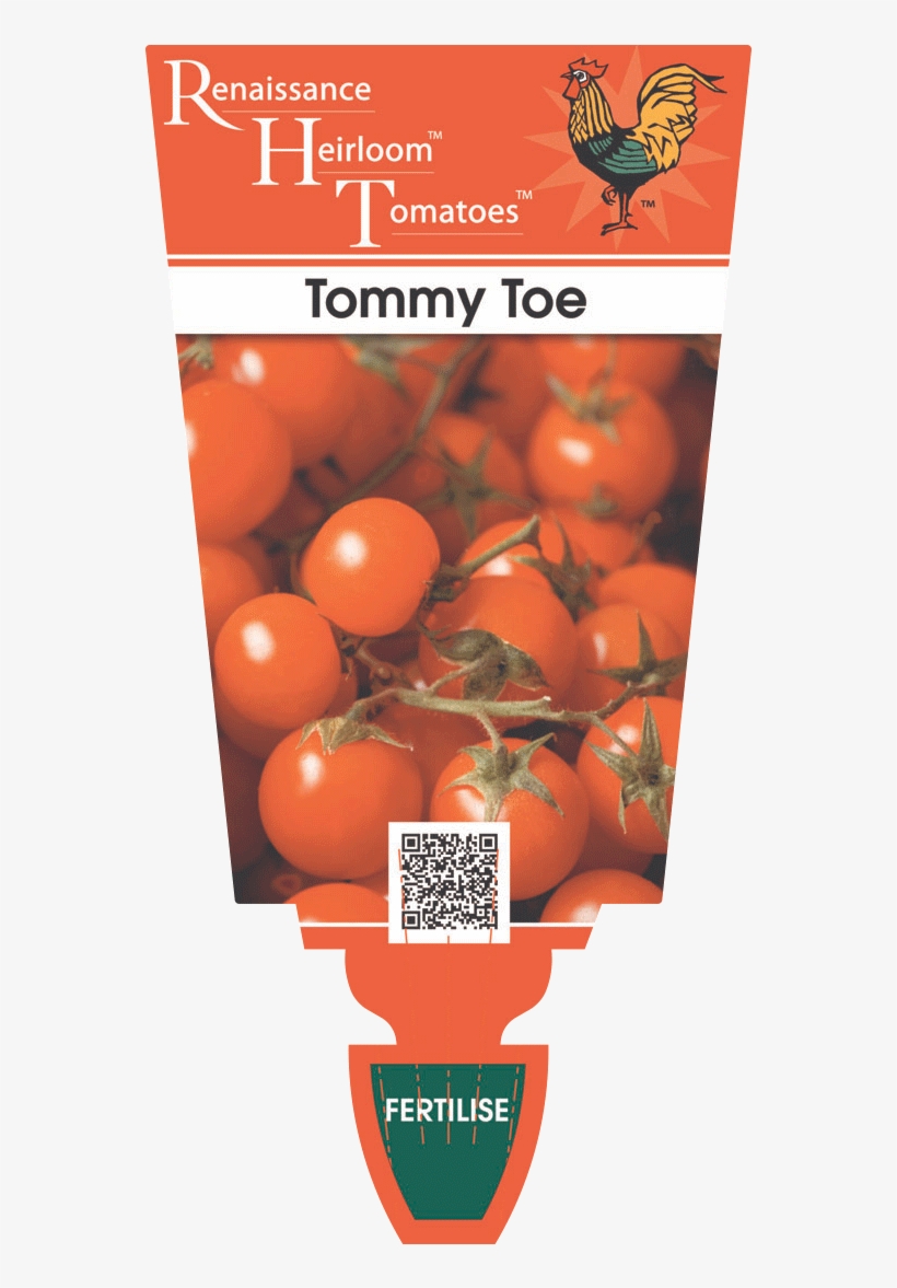 Tomato Heirloom 'tommy Toe' - Heirloom Tomato, transparent png download