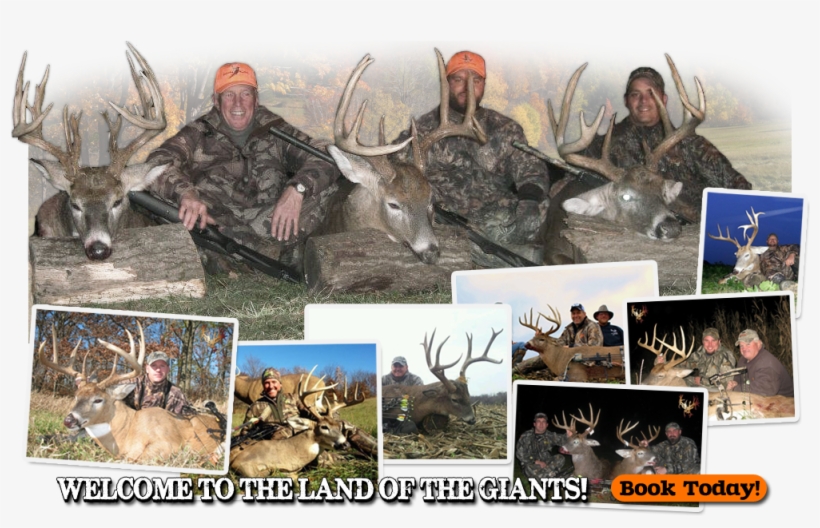 Trophy Whitetail Deer Hunting In Adams & Hancock County, - Illinois, transparent png download