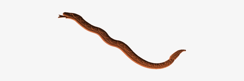 Don't Tread On Me Snake Pattern - Slender Blind Snake, transparent png download