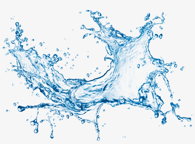 The Water, transparent png download