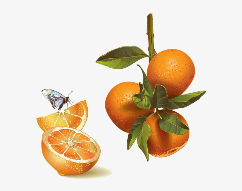 Fruit Et Legumes - Mandarin Orange, transparent png download