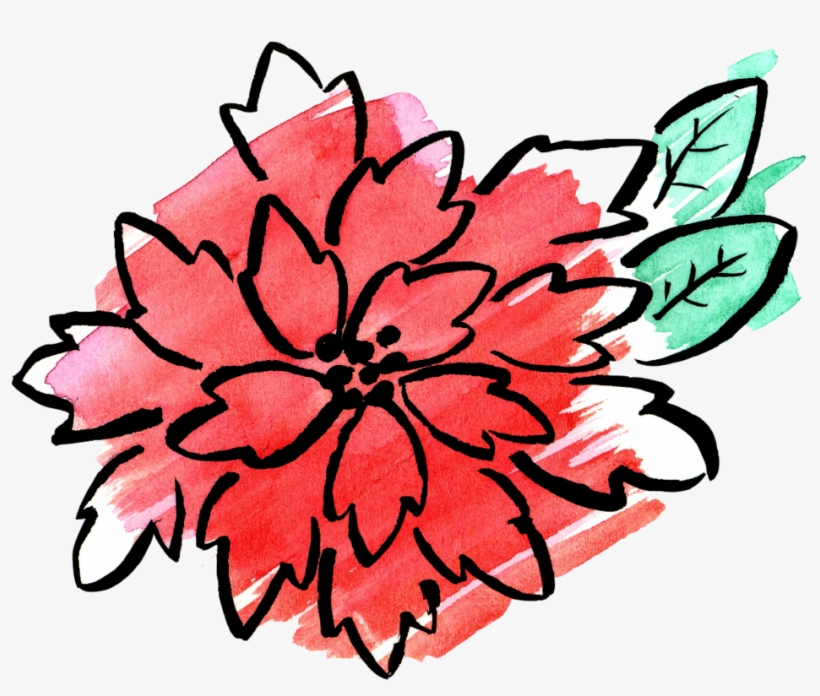 Poinsettia Wtrclr, transparent png download