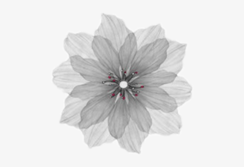 Watercolor Painting, transparent png download