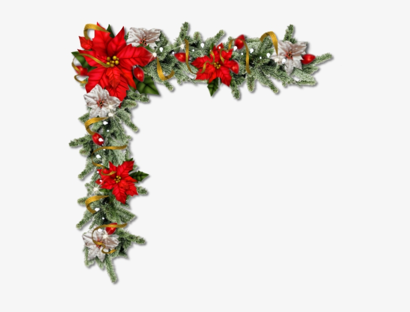 Pretty Christmas Floral Corner With Poinsettia's In - Poinsettia, transparent png download