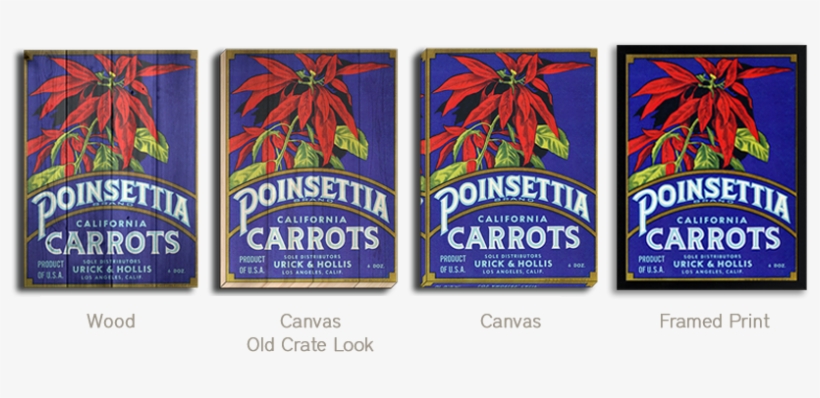 Poinsettia - Poinsettia Carrot Label (12x18 Art Print, Wall Decor, transparent png download