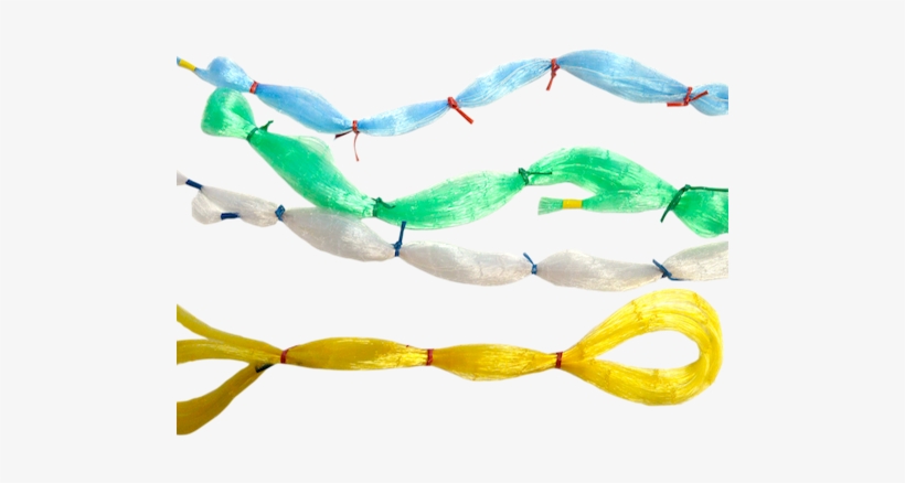 Photo - Photograph, transparent png download