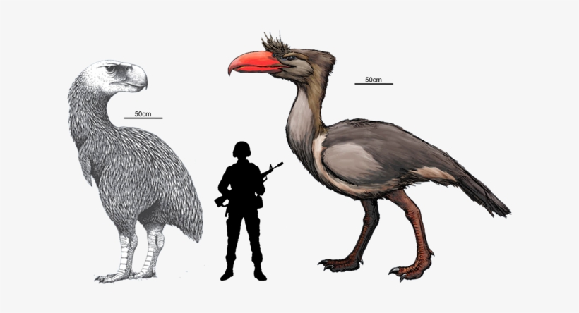 I Know The Timeline/locale Isn't Right, But Fuck It - Terror Bird Vs Human, transparent png download