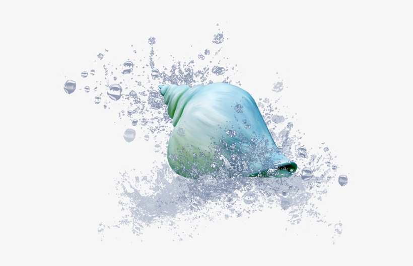 Visit - Tube Png Plage, transparent png download