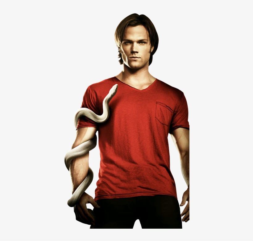 *clique Para Expandir* - Supernatural Season 6 Poster Official, transparent png download