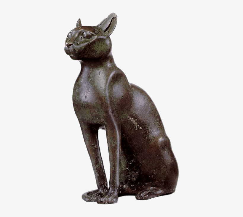 Coffin For A Sacred Cat - Fifteen Lives And A Cat's Story By Richard J Bing, transparent png download