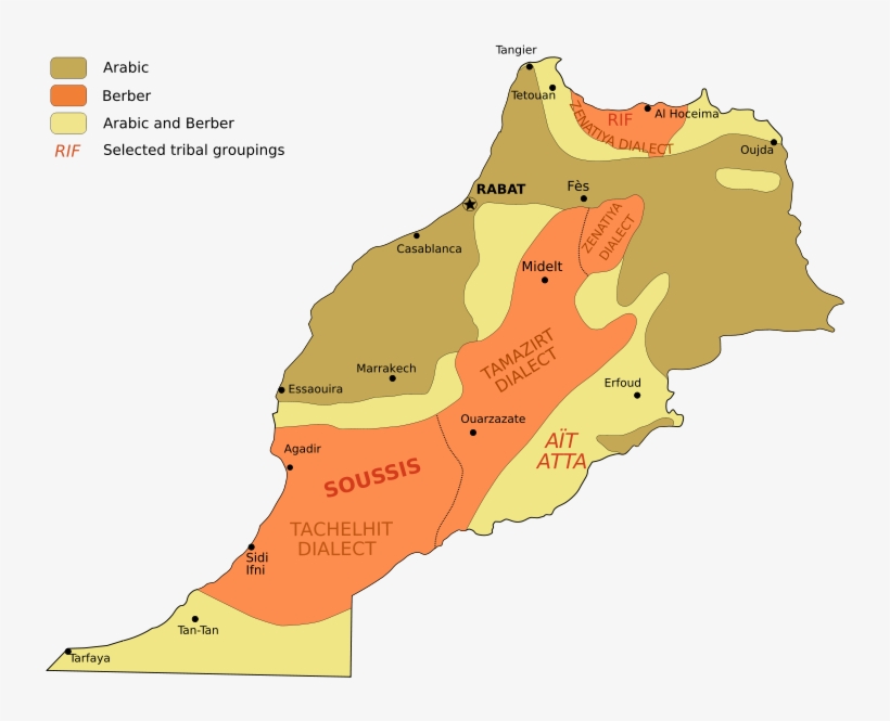 Berber Carpets Of Morocco The Symbols Origin And Meaning - Morocco Languages, transparent png download