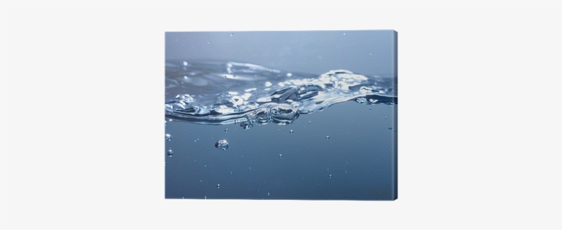 Sea, transparent png download