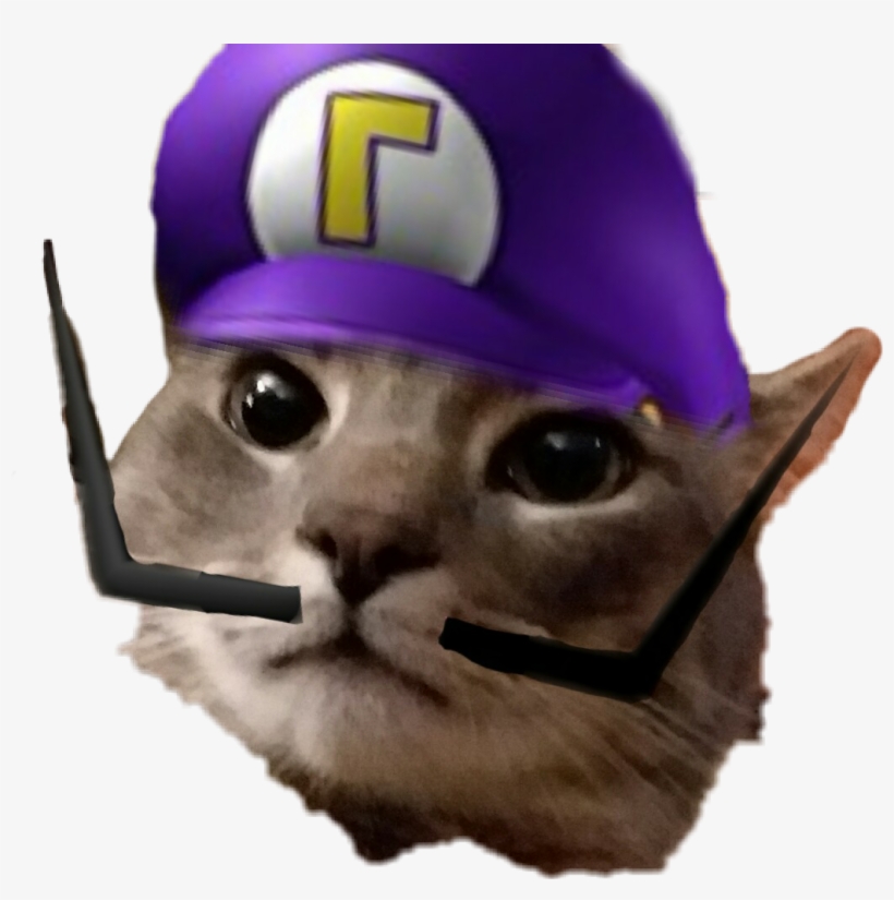 Cat In Waluigi Costume, transparent png download