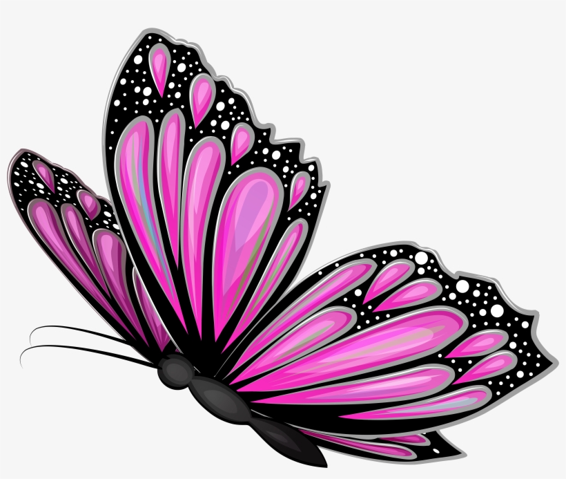 View Full Size, transparent png download