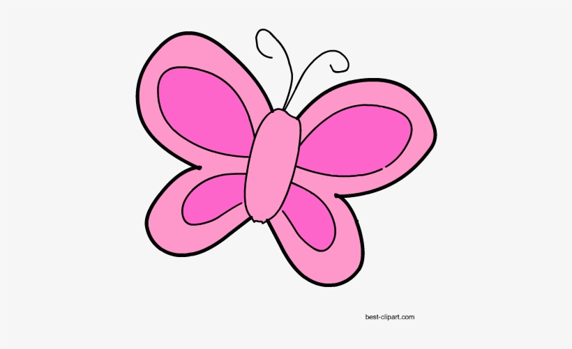 Pink Butterfly Clipart - Clip Art, transparent png download