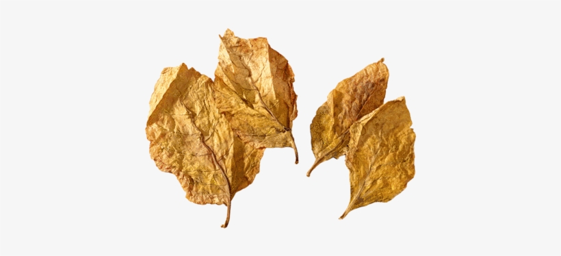 Turkish Tobacco - Gorilla Custard E Juice, transparent png download