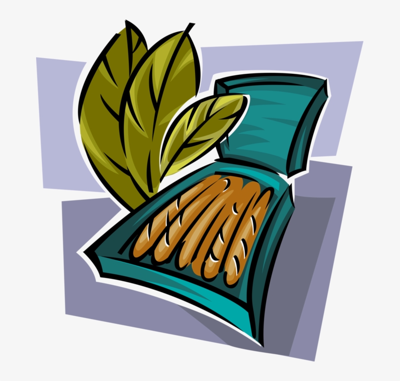 Vector Illustration Of Tobacco Smoking Leaves With - Cigars, transparent png download