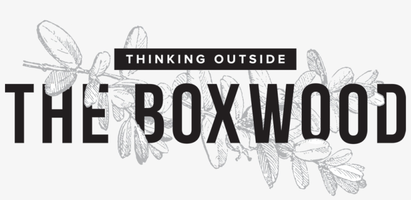 Thinking Outside The Boxwood - Illustration, transparent png download