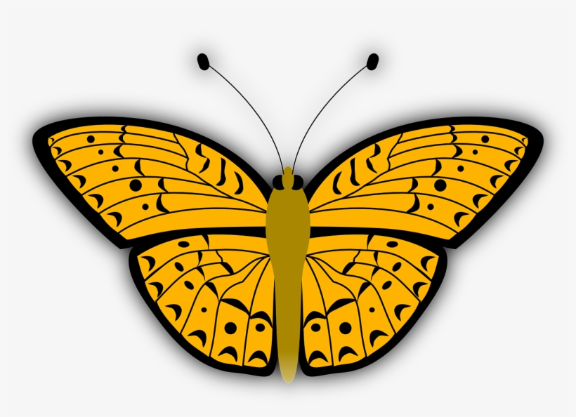 Large Pink Butterfly Png Clip Art Image - Orange Butterfly Shower Curtain, transparent png download