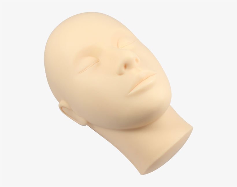 Head, transparent png download