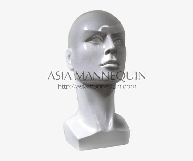 Head & Bust Mannequins - Bust, transparent png download