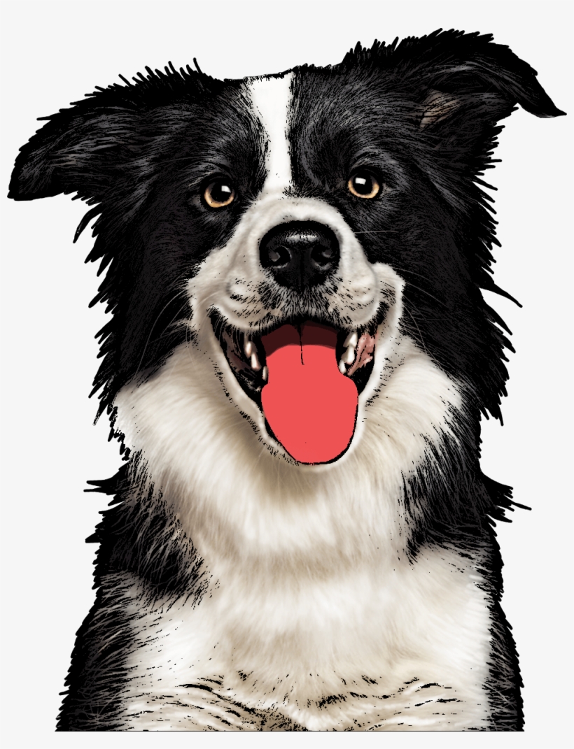 Custom Pet Pop Art - Dog Art Png, transparent png download