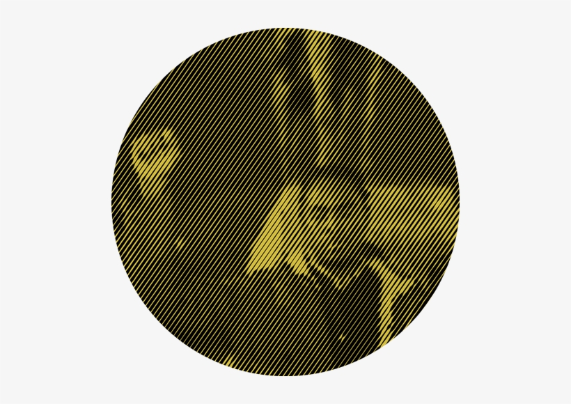 Belgium - Genealogy, transparent png download