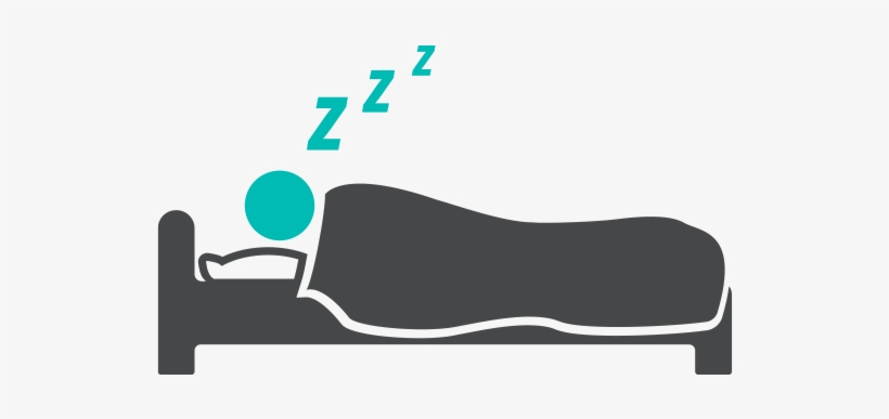 Sleep Png Clip Royalty Free Library - Sleep Png, transparent png download