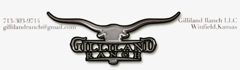 Gilliland Ranch Llc, Winfield, Kansas, Gillilandranch@gmail - Jaguar, transparent png download