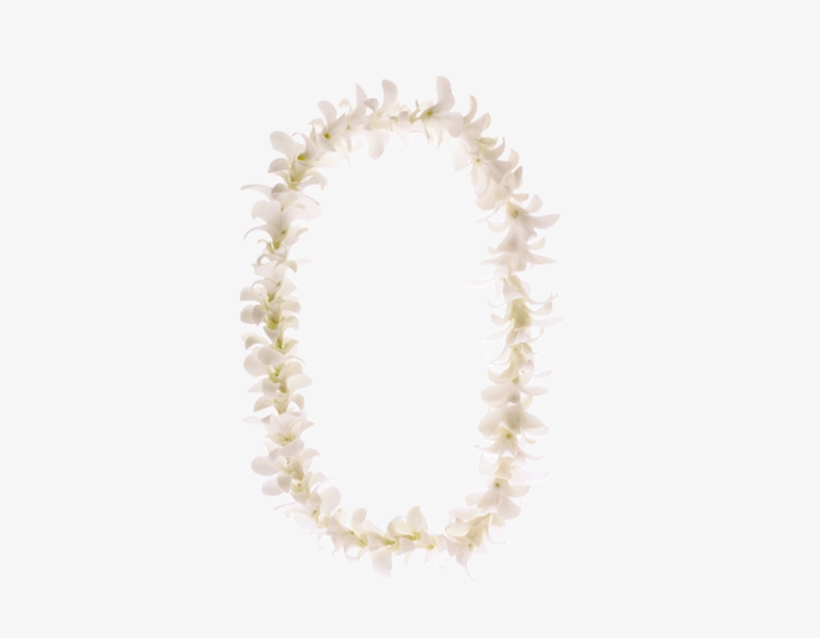 White - Pearl, transparent png download