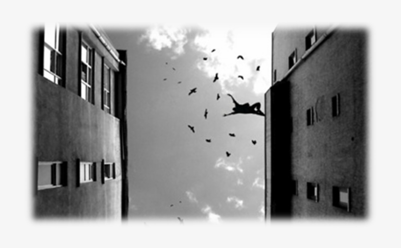 Secure Cross Domain Data Transfers With Raytheon's - Histoire Argentine - Trade Paperback, transparent png download