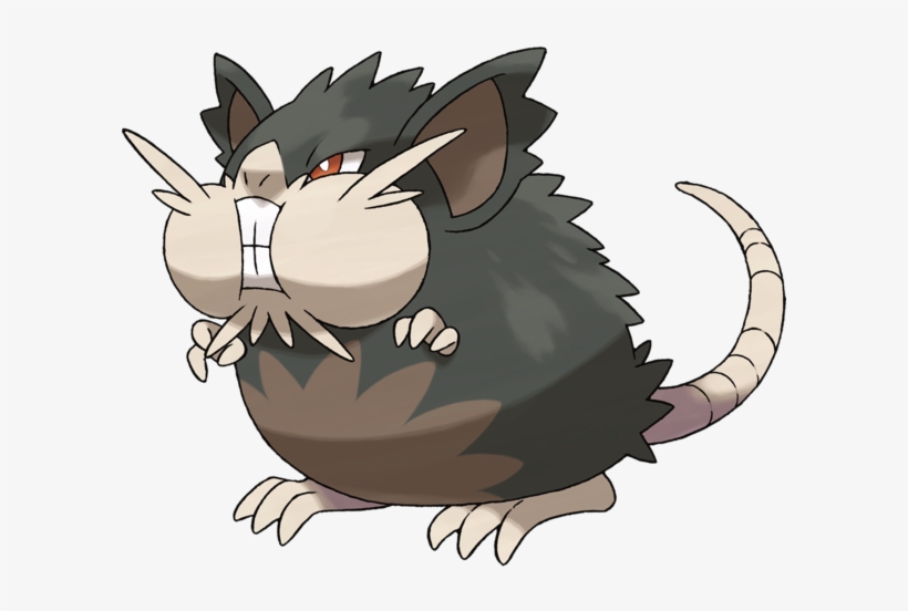 Alolan Rattata/raticate Named After The Titular Character - Raticate Alola, transparent png download