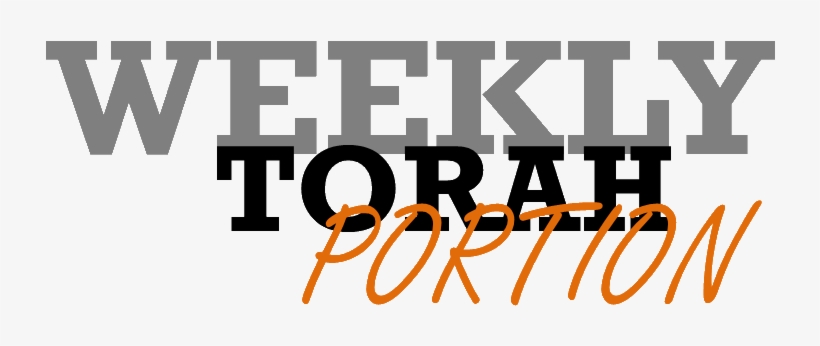 Weekly Torah Portion - Cafepress Wine O Clock Tufted Chair Cushion, transparent png download