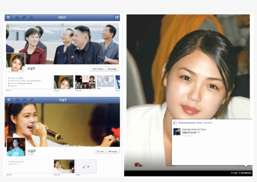 Most Of The Fake Facebook Profiles For Ri Sol-ju Include - Ri Sol Ju 2005, transparent png download