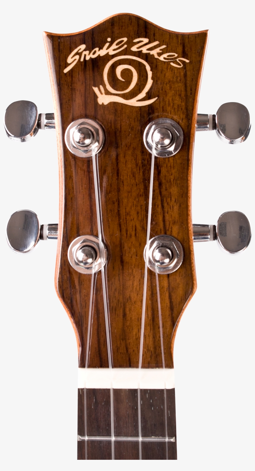 Descubre Ideas Sobre Ukelele - Snail Sut-m3 Tenor All Solid Mahogany Gloss Ukulele, transparent png download