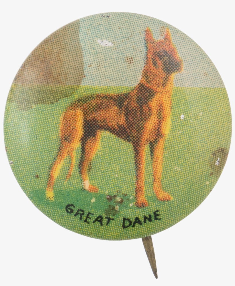 Great Dane - Old German Shepherd Dog, transparent png download